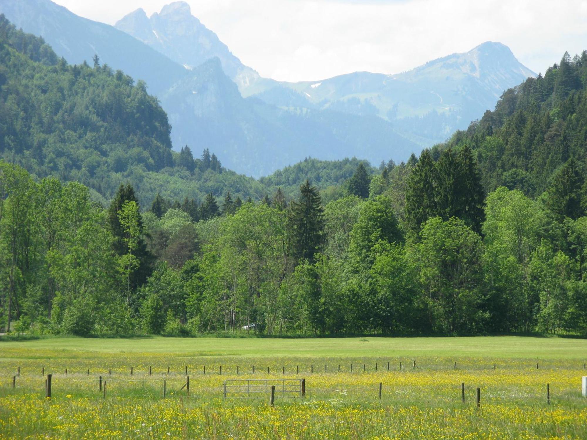 Alpenhotel Allgaeu Hohenschwangau Εξωτερικό φωτογραφία